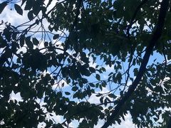 -上海月湖雕塑公园