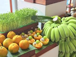 -长沙梅溪湖金茂豪华精选酒店·宴会厅