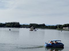 -大兴滨河森林公园