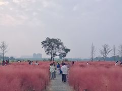 -汉长安城未央宫国家考古遗址公园