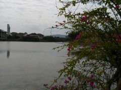 android_upload_pic-三亚亚龙湾凯莱仙人掌度假酒店