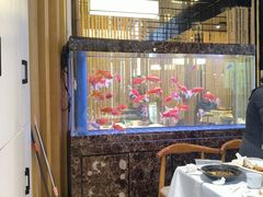 -原鄉本味 楚菜 丹江口鱼(北苑店)