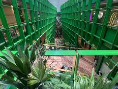 -青枫公园