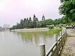 -百万葵园