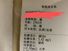 -宠颐生贝利健动物医院(谢家湾分院)