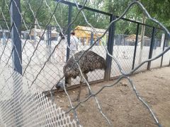 -长白岛森林公园