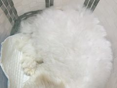 -瑞派宠物医院·24小时骨科·心脏·核磁(哈尔滨南岗店)