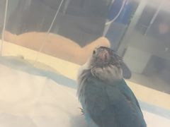 -雨林宠物医院 非犬猫异宠专科