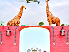 -空港花田景区