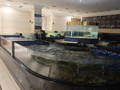 -龙悦湾酒家·八阵鱼生·渔人码头店
