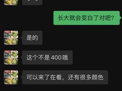 -明明手养鹦鹉(堤角花鸟宠物大世界店)