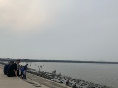 -潍坊欢乐海沙滩景区