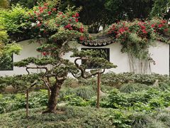 -绮园景区
