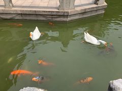 -祝家花園(伯渎港店)