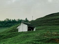 -关山草原