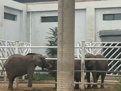 -大青山野生动物园