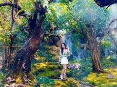 -Chom Cafe and Restaurant