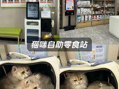 -瑞鹏宠物医院·骨外科·心肾科·肿瘤科(九亭店)