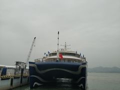 -招商蛇口邮轮母港(观光客运)