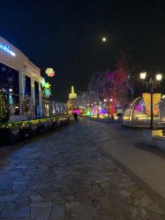 -Early Rider 儿童自行车(蓝色港湾店)