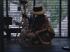 -MOJ coffee(瓯海泽雅水碓坑店)