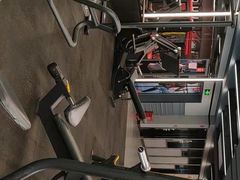 -金吉鸟健身游泳