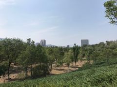 -滨河世纪广场公园