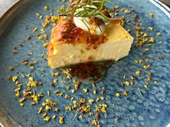 -Hi City·城市之巅