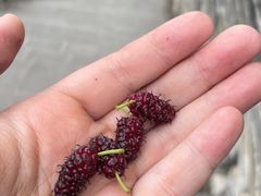 -何适山庄 ·可团建(水长城P2停车场店)