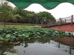 -东方绿舟景区