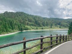 -武陵山森林公园