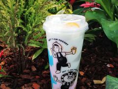 益生香橙君-我是酸奶君(壹方城店)