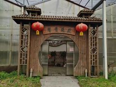 -上海都市菜园