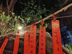 -不曾在把把烧•烧烤(莲坂磐基店)