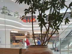 -山缓缓火锅(青岛万象城店)
