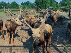 -溱湖国家湿地公园