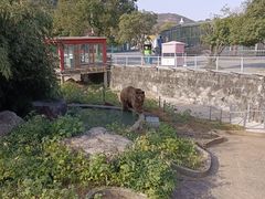 -无锡动物园·太湖欢乐园
