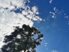 -鼓岭旅游度假区
