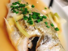 黄鱼-临风海鲜餐厅