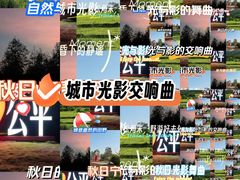 -凤岗南门山森林公园