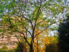 -杭州电子科技大学(下沙校区)