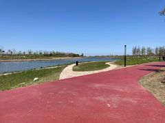 -春花秋色城市公园