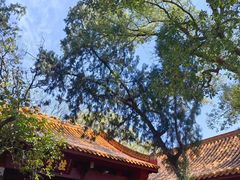 -南岳大庙