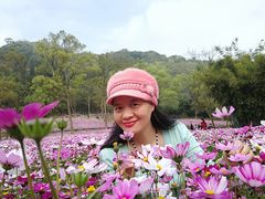 -南宁良凤江国家森林公园