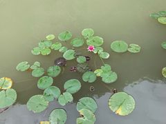 -桑干河大峡谷旅游区