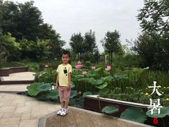 -武清南湖绿博园