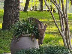 -养云安缦吧THE BAR