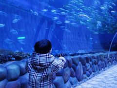 -华夏文旅海洋公园