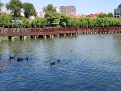 -中国农业博物馆