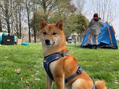 -龙美术馆西岸馆-停车场